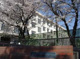 藤沢市立新林小学校の画像