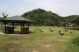 高知池公園