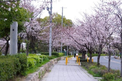 毛馬桜ノ宮公園の画像1