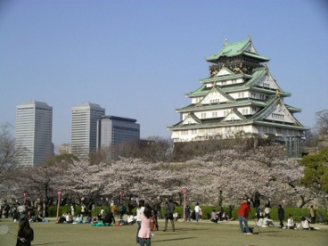 大阪城公園の画像1