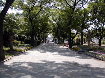 住吉公園の画像1