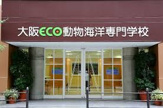 大阪ECO動物海洋専門学校