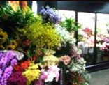インテリア フラワーショップ マミー