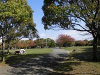 庭代公園の画像1