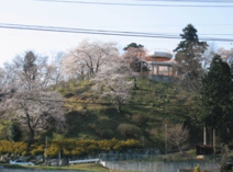 おしゃもじ山公園