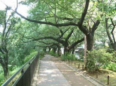 外濠公園の画像1