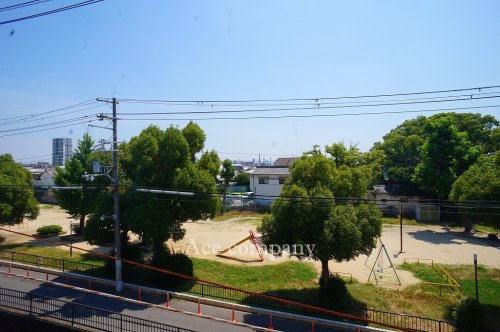 の画像