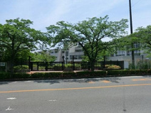 桜山小学校