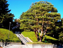 松風公園
