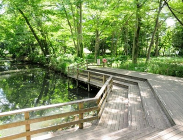 仙波河岸史跡公園の画像1