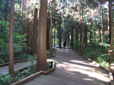 円山公園の画像1