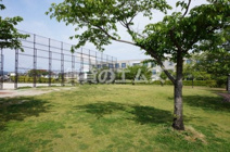 福岡市諸岡中央公園