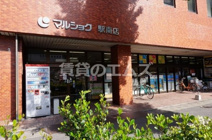 （株）サンリブ マルショク駅南店