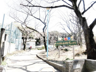 渋谷はるのおがわプレーパークの画像1