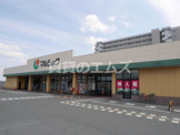 マルショク空港東店