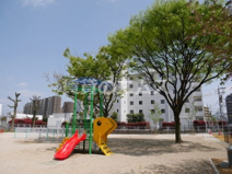 天代公園