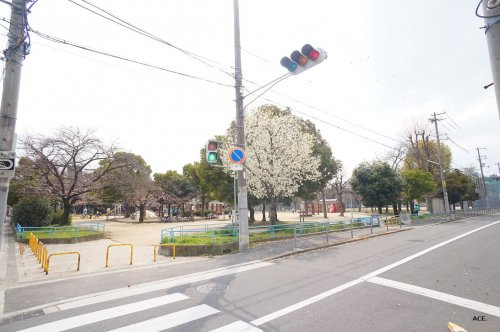 の画像