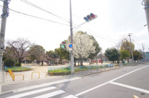 平野西公園