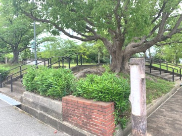 寺池公園の画像1