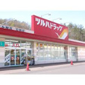 ツルハドラッグ 北24条西店