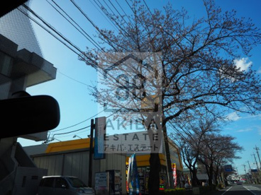 イエローハット流山店の画像1
