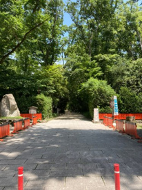 賀茂御祖神社(下鴨神社)の画像1
