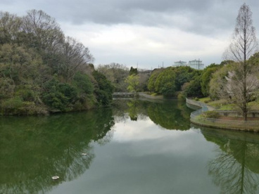 明治池公園の画像1