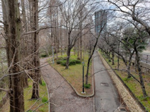毛馬桜之宮公園
