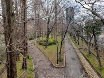 毛馬桜之宮公園の画像1