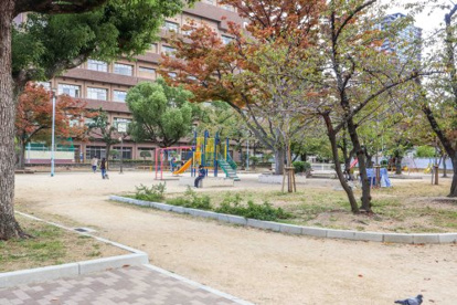 土佐公園の画像2