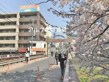 和田町商店街の画像1
