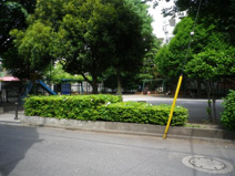 弥生公園