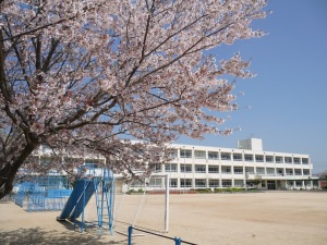 稲美町立 加古小学校の画像1