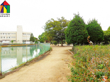 蓮池公園の画像1