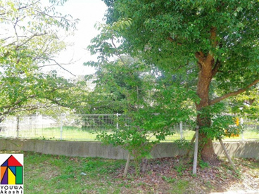カゲユ池古墳の画像1