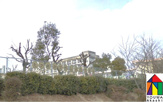 高丘東幼稚園