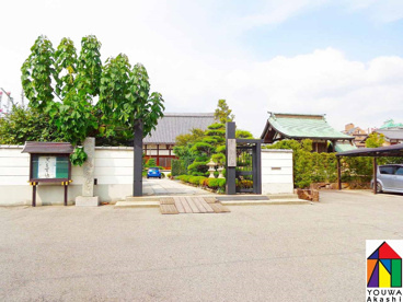 龍谷寺の画像1