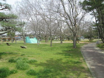 望海浜公園の画像1