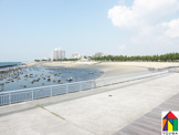 大蔵海岸公園