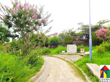 錦が丘西公園の画像1