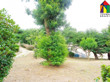 錦が丘中央公園の画像1