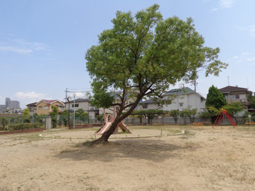 美里公園の画像1