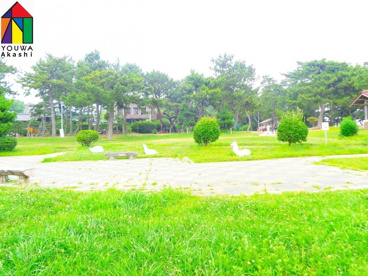 住吉公園の画像1