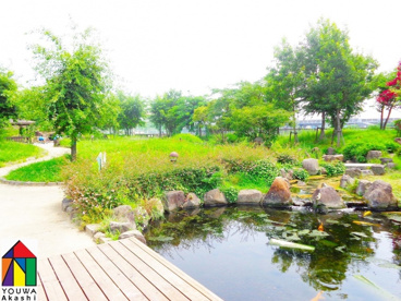 せせらぎ公園の画像1