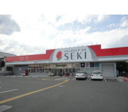 ドラッグストアセキ松葉町店