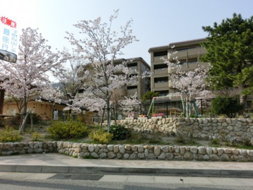 三条公園の画像1