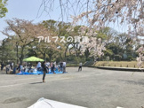 掃部山公園