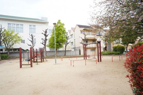 の画像