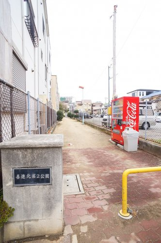 の画像
