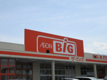 ザ・ビッグ 櫛形店